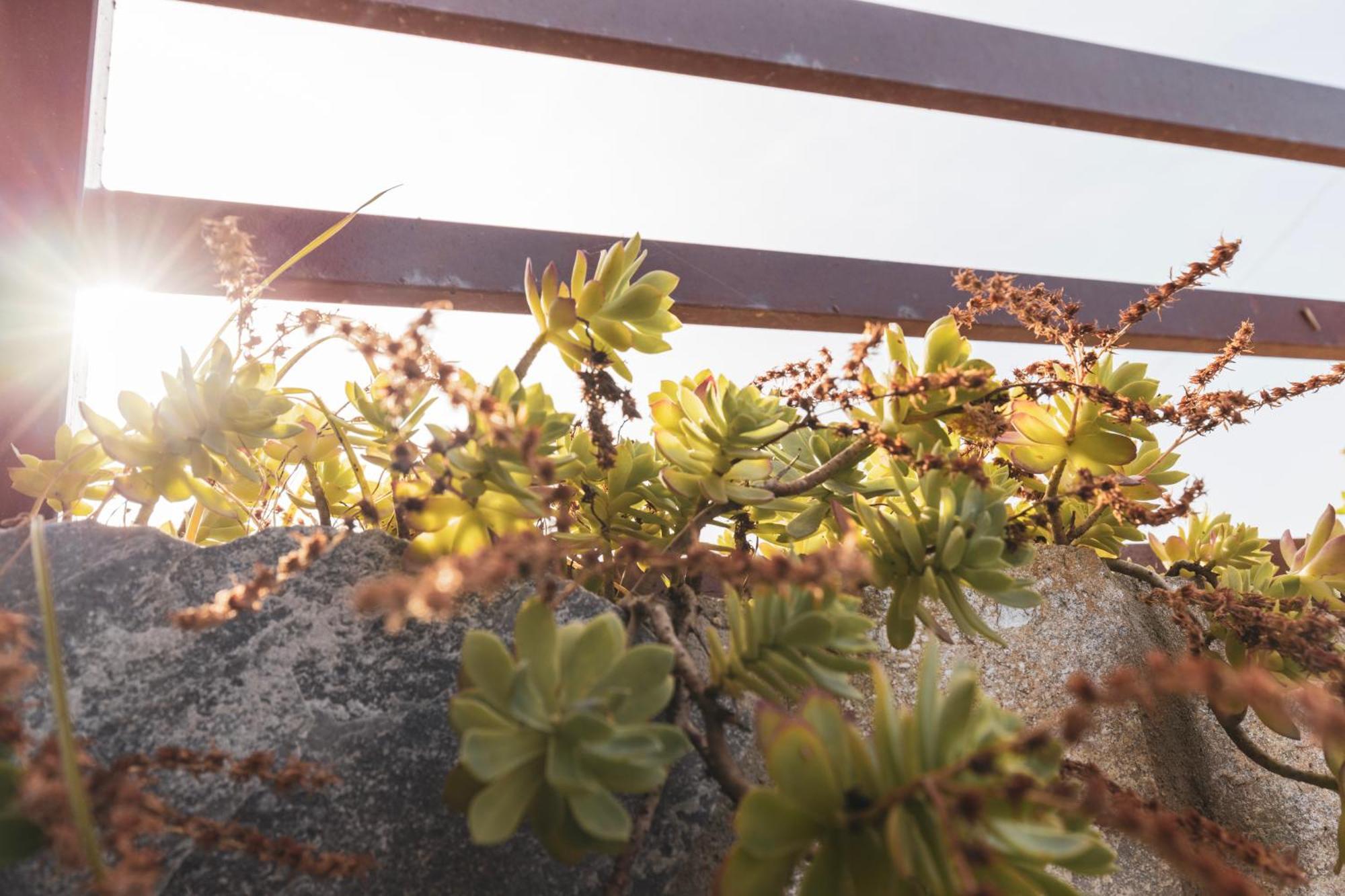 Antigone View Apartments Σκάλα Ποταμιάς Εξωτερικό φωτογραφία
